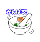 しばまる博士 理系スタンプ（個別スタンプ：20）