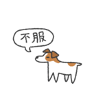 素晴らしきジャックラッセルテリア（個別スタンプ：13）