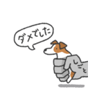 素晴らしきジャックラッセルテリア（個別スタンプ：26）