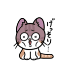 毎日むぎたスタンプ（個別スタンプ：31）