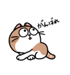 毎日むぎたスタンプ（個別スタンプ：40）