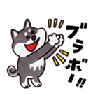 はたらく黒柴犬の日常【敬語】（個別スタンプ：6）