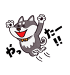 はたらく黒柴犬の日常【敬語】（個別スタンプ：7）