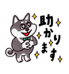 はたらく黒柴犬の日常【敬語】（個別スタンプ：12）