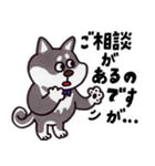 はたらく黒柴犬の日常【敬語】（個別スタンプ：17）