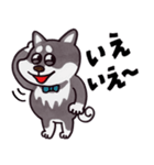 はたらく黒柴犬の日常【敬語】（個別スタンプ：19）