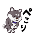 はたらく黒柴犬の日常【敬語】（個別スタンプ：20）