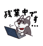 はたらく黒柴犬の日常【敬語】（個別スタンプ：21）