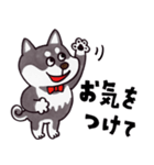 はたらく黒柴犬の日常【敬語】（個別スタンプ：24）