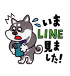 はたらく黒柴犬の日常【敬語】（個別スタンプ：29）