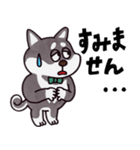はたらく黒柴犬の日常【敬語】（個別スタンプ：31）