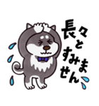 はたらく黒柴犬の日常【敬語】（個別スタンプ：33）