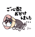 はたらく黒柴犬の日常【敬語】（個別スタンプ：34）