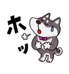 はたらく黒柴犬の日常【敬語】（個別スタンプ：35）