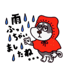 はたらく黒柴犬の日常【敬語】（個別スタンプ：37）