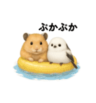 仲良し❤キンクマハムスター＆シマエナガ（個別スタンプ：6）