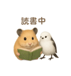 仲良し❤キンクマハムスター＆シマエナガ（個別スタンプ：7）