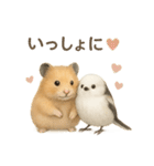 仲良し❤キンクマハムスター＆シマエナガ（個別スタンプ：8）