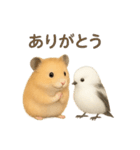 仲良し❤キンクマハムスター＆シマエナガ（個別スタンプ：9）
