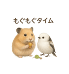仲良し❤キンクマハムスター＆シマエナガ（個別スタンプ：12）