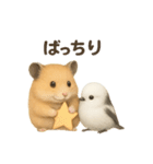 仲良し❤キンクマハムスター＆シマエナガ（個別スタンプ：17）
