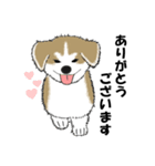 もちもちの秋田犬（個別スタンプ：2）