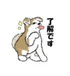 もちもちの秋田犬（個別スタンプ：3）
