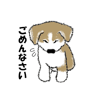 もちもちの秋田犬（個別スタンプ：5）