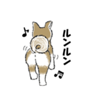 もちもちの秋田犬（個別スタンプ：7）
