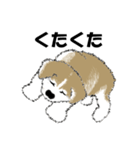 もちもちの秋田犬（個別スタンプ：8）