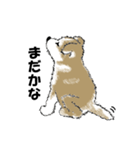 もちもちの秋田犬（個別スタンプ：10）