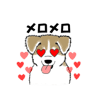 もちもちの秋田犬（個別スタンプ：11）