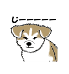 もちもちの秋田犬（個別スタンプ：14）
