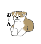 もちもちの秋田犬（個別スタンプ：15）