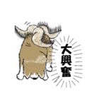もちもちの秋田犬（個別スタンプ：16）