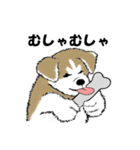 もちもちの秋田犬（個別スタンプ：21）