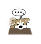もちもちの秋田犬（個別スタンプ：22）