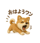 羊毛フェルト♡柴犬♡日常スタンプ（個別スタンプ：1）