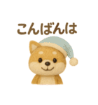 羊毛フェルト♡柴犬♡日常スタンプ（個別スタンプ：3）