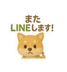 羊毛フェルト♡柴犬♡日常スタンプ（個別スタンプ：35）