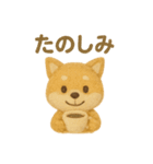 羊毛フェルト♡柴犬♡日常スタンプ（個別スタンプ：39）