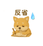 羊毛フェルト♡柴犬♡日常スタンプ（個別スタンプ：40）