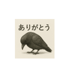カラス（水墨画風）（個別スタンプ：3）
