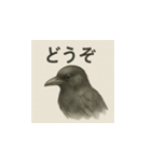 カラス（水墨画風）（個別スタンプ：10）