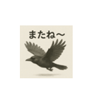 カラス（水墨画風）（個別スタンプ：14）