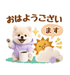 大人可愛い癒しポメラニアンの梅雨スタンプ（個別スタンプ：1）