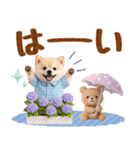 大人可愛い癒しポメラニアンの梅雨スタンプ（個別スタンプ：3）