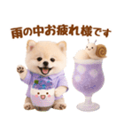 大人可愛い癒しポメラニアンの梅雨スタンプ（個別スタンプ：7）