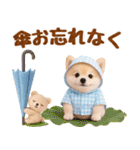 大人可愛い癒しポメラニアンの梅雨スタンプ（個別スタンプ：8）