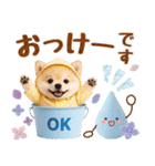 大人可愛い癒しポメラニアンの梅雨スタンプ（個別スタンプ：9）